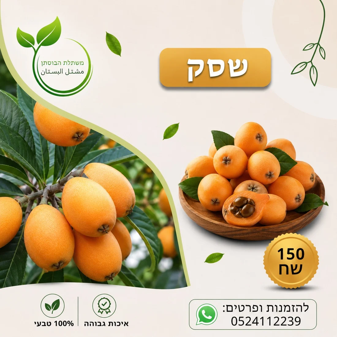 שסק — תמונת פרי להמחשה