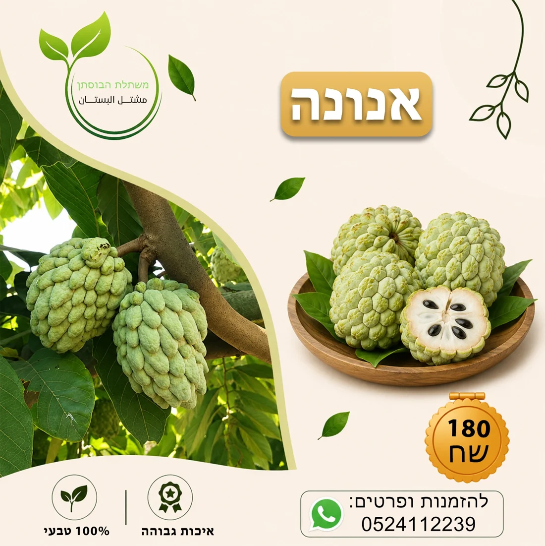 אנונה — תמונת פרי להמחשה