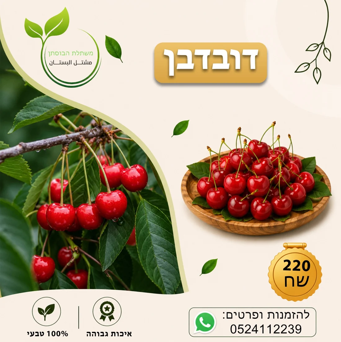 דובדבן — תמונת פרי להמחשה